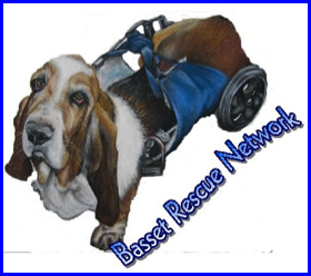 Hounds haven basset sales rescue